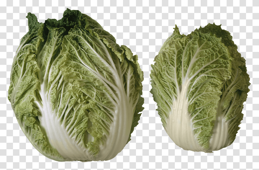 Salad Image 2 Heads Of Lettuce, Plant, Vegetable, Food, Cabbage Transparent Png