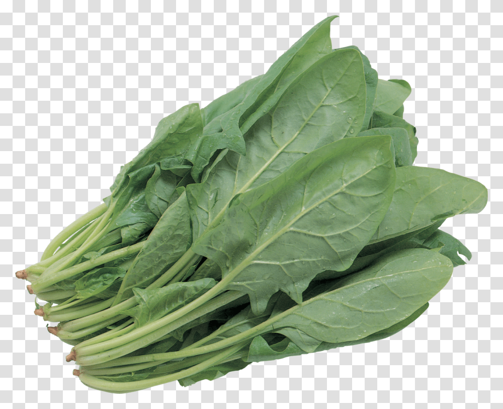 Salad Image Green Leafy Vegetables, Plant, Food, Spinach, Cabbage Transparent Png