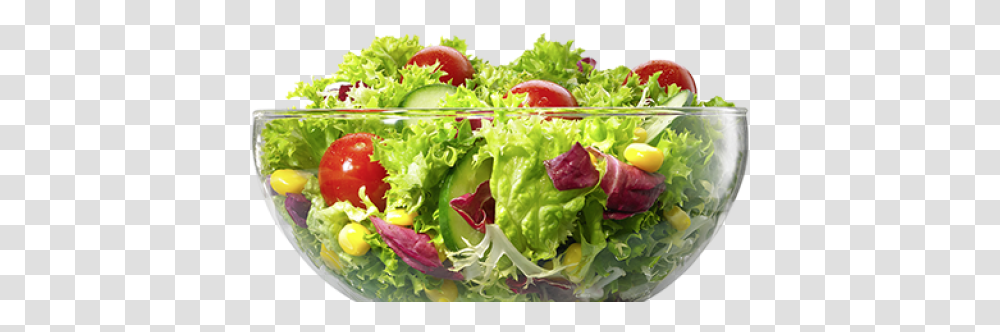 Salad Images Green Salad Burger King, Plant, Lettuce, Vegetable, Food Transparent Png