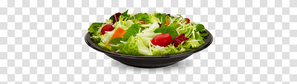 Salad Images Salad, Plant, Food, Meal, Lunch Transparent Png