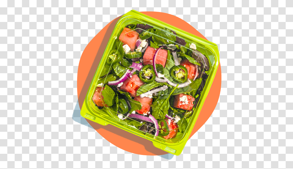 Salad In A To Go Box Garden Salad, Plant, Food, Meal, Lunch Transparent Png