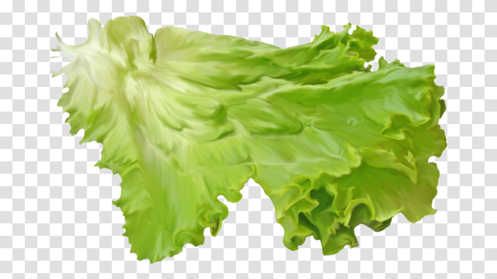 Salad Leaf Background Lettuce, Plant, Vegetable, Food, Cabbage Transparent Png