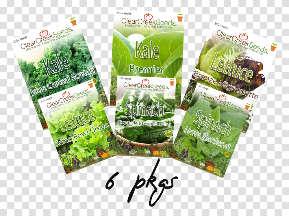 Salad Pack Gardening, Plant, Vase, Jar, Pottery Transparent Png