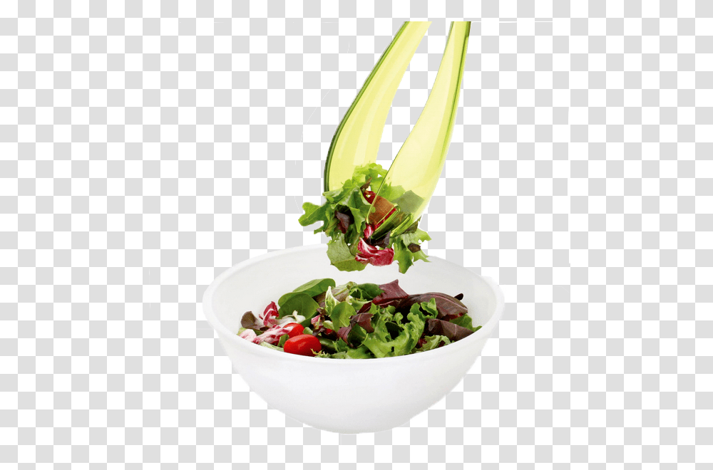 Salad Photo Spinach Salad, Plant, Flower, Produce, Food Transparent Png