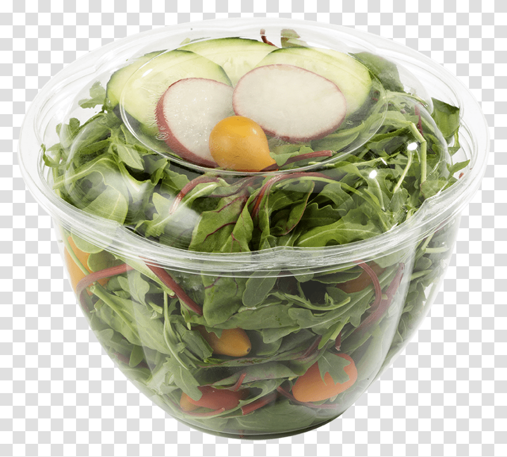 Salad, Plant, Egg, Food, Jar Transparent Png