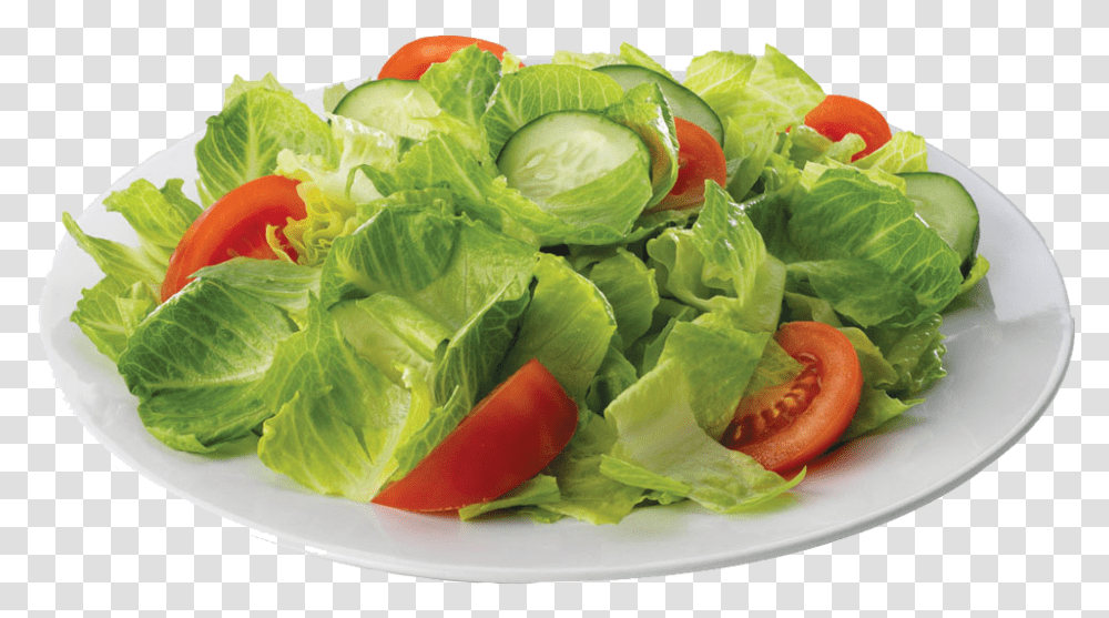 Salad, Plant, Food, Dish, Meal Transparent Png