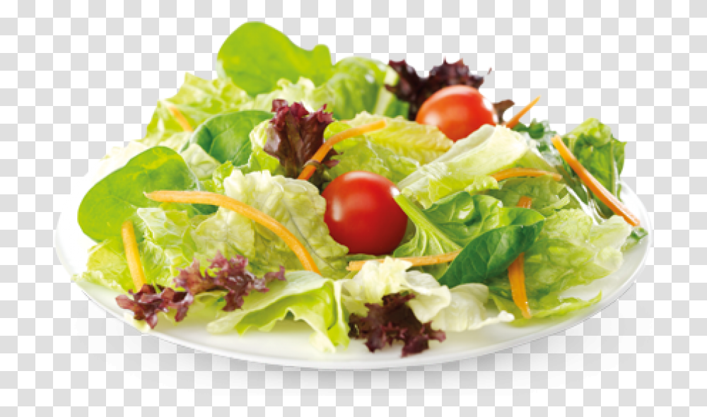 Salad, Plant, Lunch, Meal, Food Transparent Png