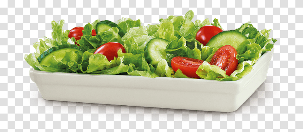 Salad Salads, Plant, Lettuce, Vegetable, Food Transparent Png