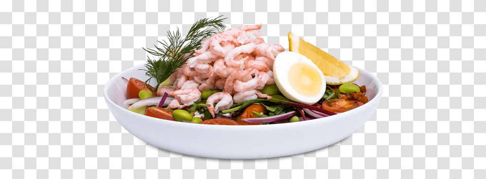 Salad, Shrimp, Seafood, Sea Life, Animal Transparent Png