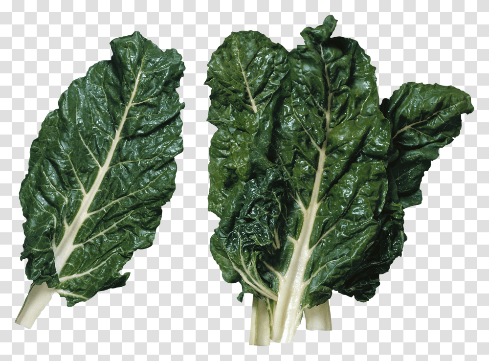 Salad, Vegetable, Kale, Cabbage, Plant Transparent Png