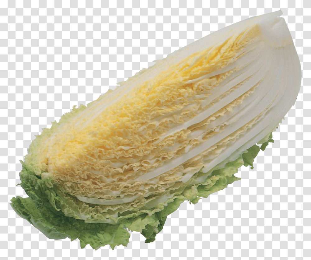 Salad, Vegetable, Plant, Food, Cabbage Transparent Png