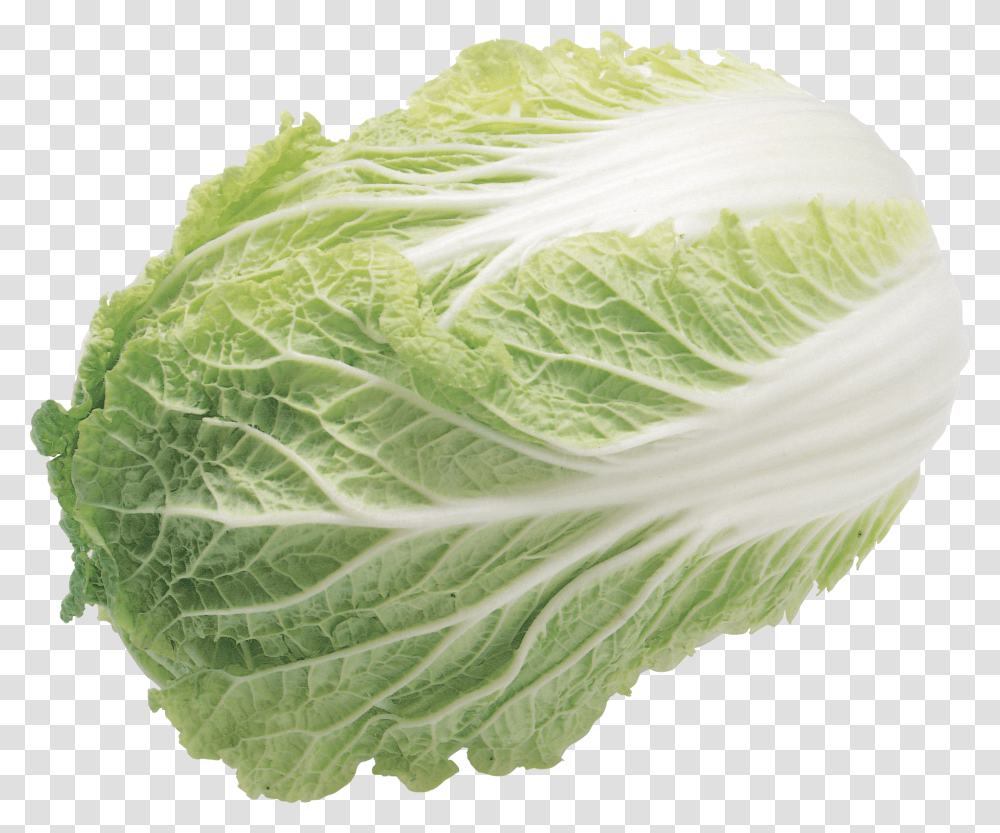 Salad, Vegetable, Plant, Food, Cabbage Transparent Png