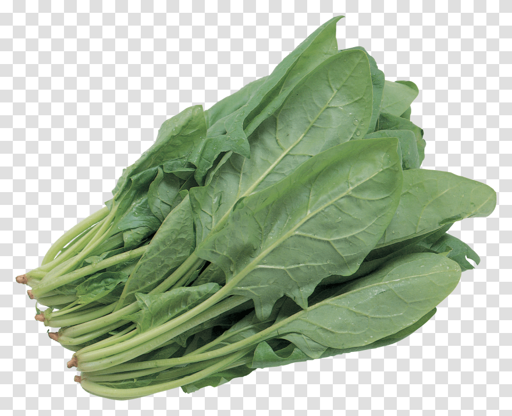 Salad, Vegetable, Plant, Spinach, Food Transparent Png