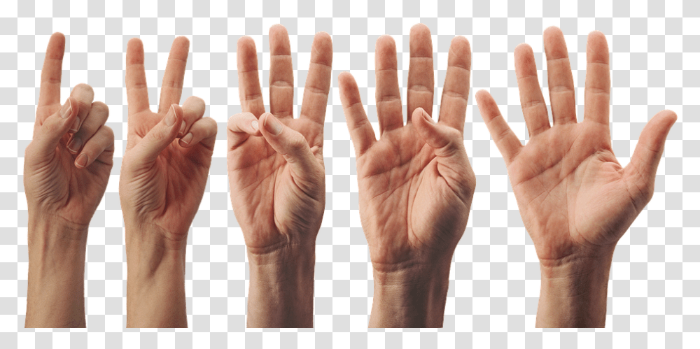 Salam Gambar Tangan 3 Jari, Hand, Wrist, Person, Human Transparent Png