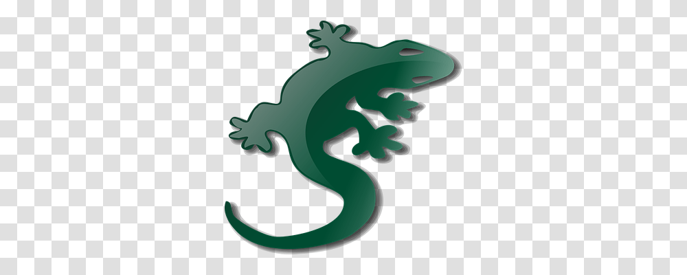 Salamander Animals, Green, Dragon, Amphibian Transparent Png
