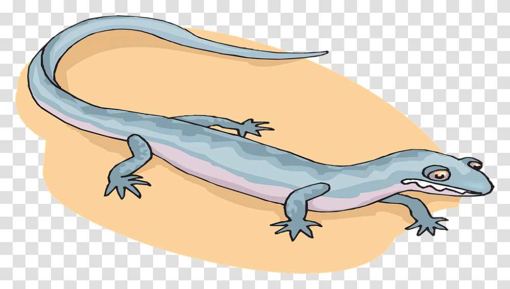 Salamander Amphibians Cartoon, Animal, Reptile, Lizard, Gecko Transparent Png