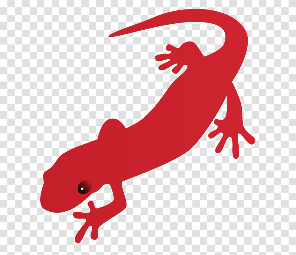 Salamander Clip Art Free, Amphibian, Wildlife, Animal, Axe Transparent Png