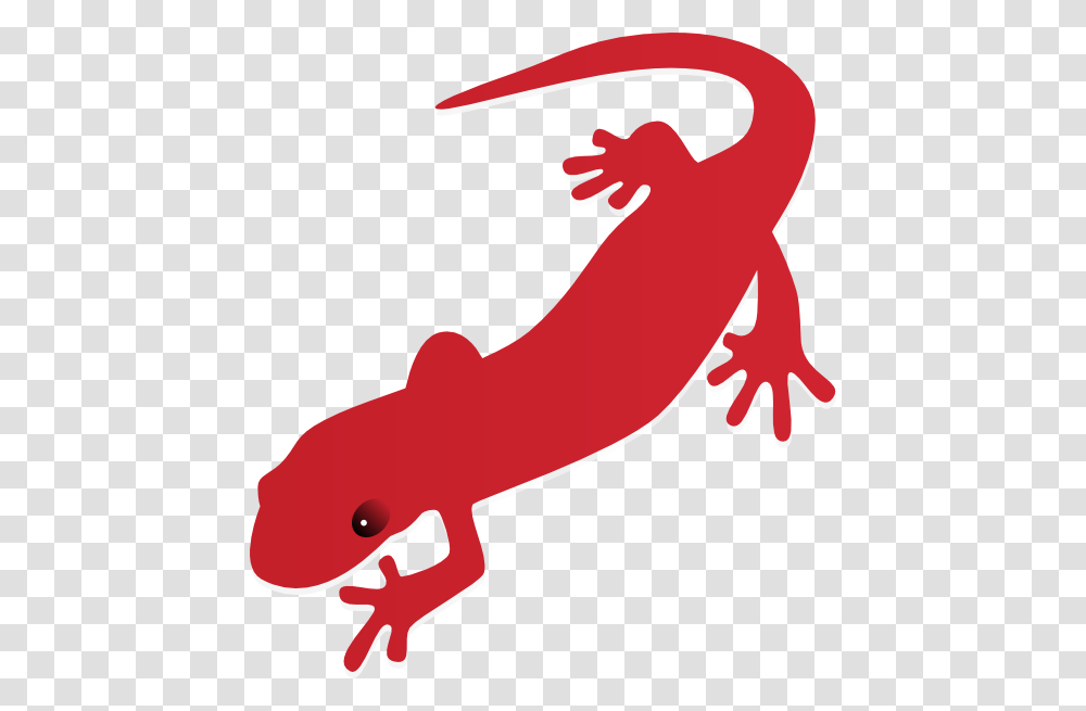 Salamander Clip Art, Gecko, Lizard, Reptile, Animal Transparent Png