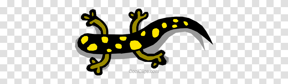 Salamander Royalty Free Vector Clip Art Illustration, Amphibian, Wildlife, Animal Transparent Png