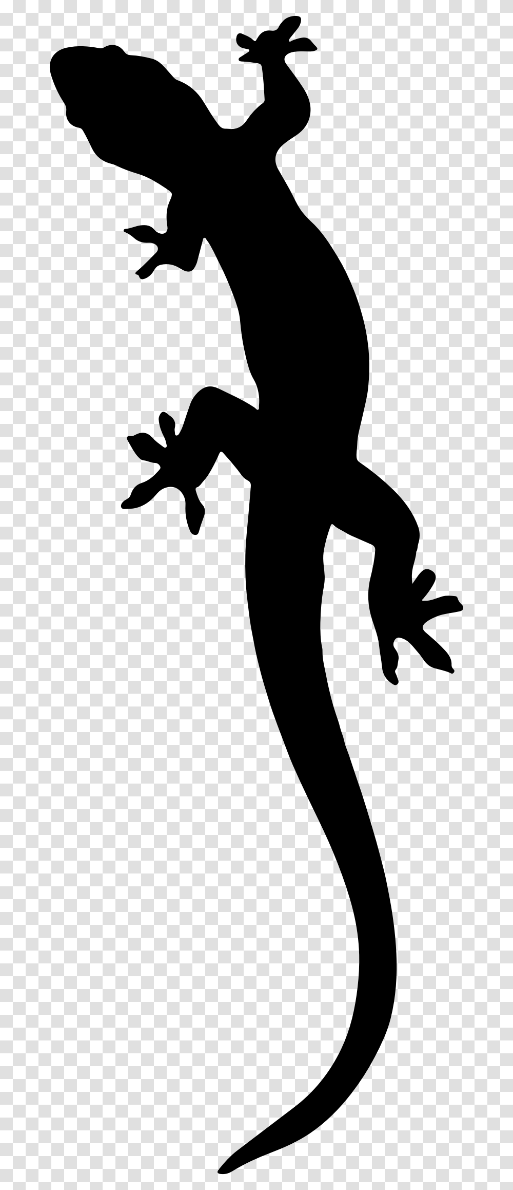 Salamander Silhouette Vector Clipart Image, Gray, World Of Warcraft Transparent Png