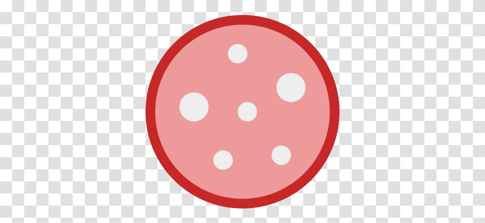 Salami Icon Free Download And Vector Circle, Ball, Texture, Disk, Sport Transparent Png