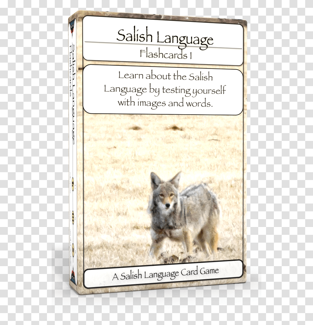 Salish Flashcards 1 3d Edu Boxshot Left Coyote, Dog, Pet, Canine, Animal Transparent Png