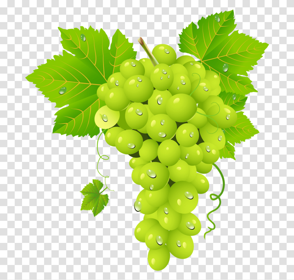Salkm Zm, Grapes, Fruit, Plant, Food Transparent Png