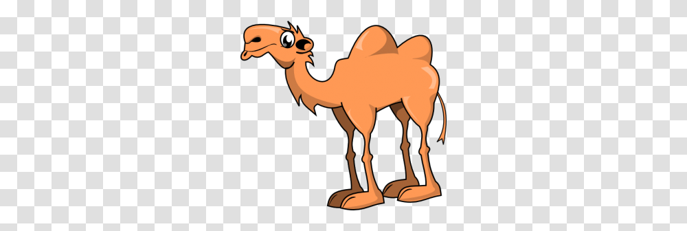 Sally The Camel Kindergarten Nation, Mammal, Animal Transparent Png