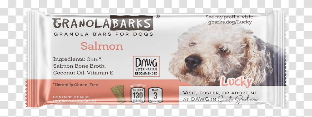 Salmon Bar Granola, Dog, Pet, Canine, Animal Transparent Png