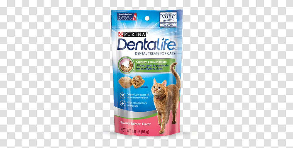 Salmon Cat Dental Treats Dentalife Cat, Flyer, Paper, Pet, Mammal Transparent Png