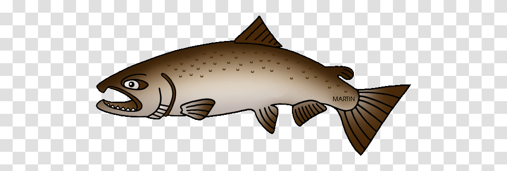Salmon Clipart Animated State Fish Of Alaska, Animal, Trout, Sea Life, Coho Transparent Png