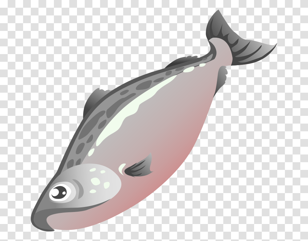 Salmon Clipart, Sea Life, Animal, Fish, Coho Transparent Png
