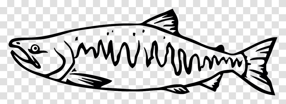 Salmon Clipart Tiny Fish Chinook Salmon Black And White, Animal, Fishing Lure, Bait Transparent Png