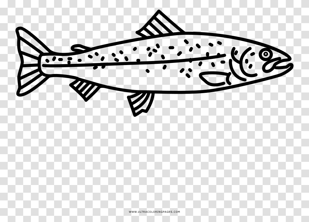 Salmon Coloring, Gray, World Of Warcraft Transparent Png
