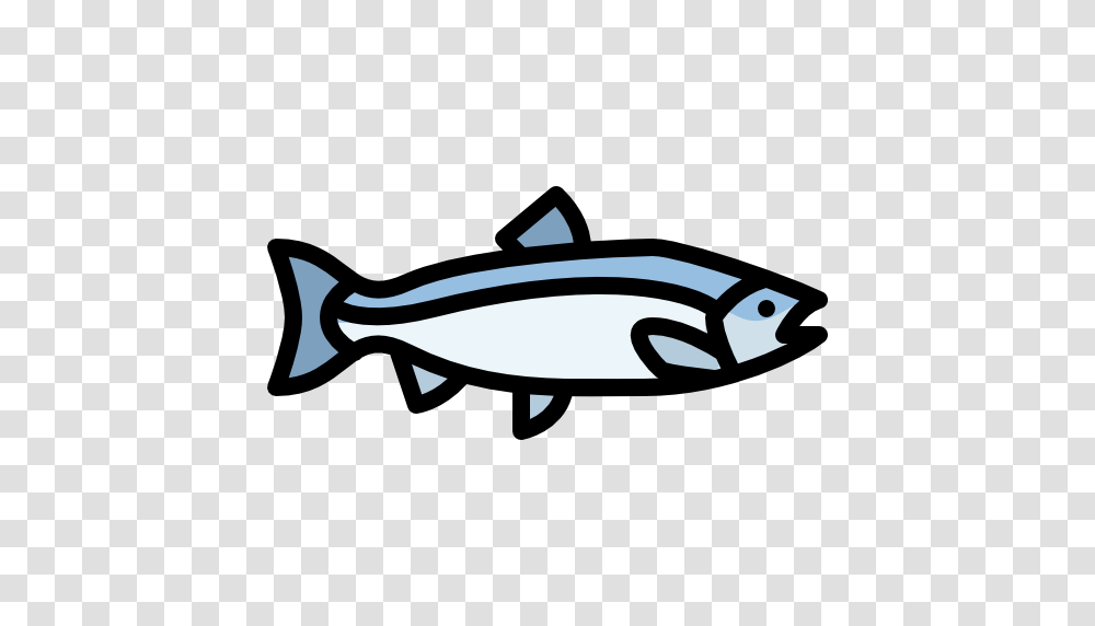 Salmon, Fish, Animal, Sea Life, Tuna Transparent Png