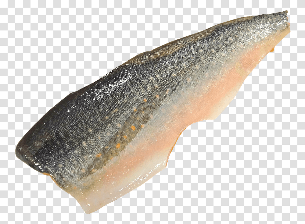 Salmon Fish Fillets With Background, Trout, Animal, Coho, Sea Life Transparent Png