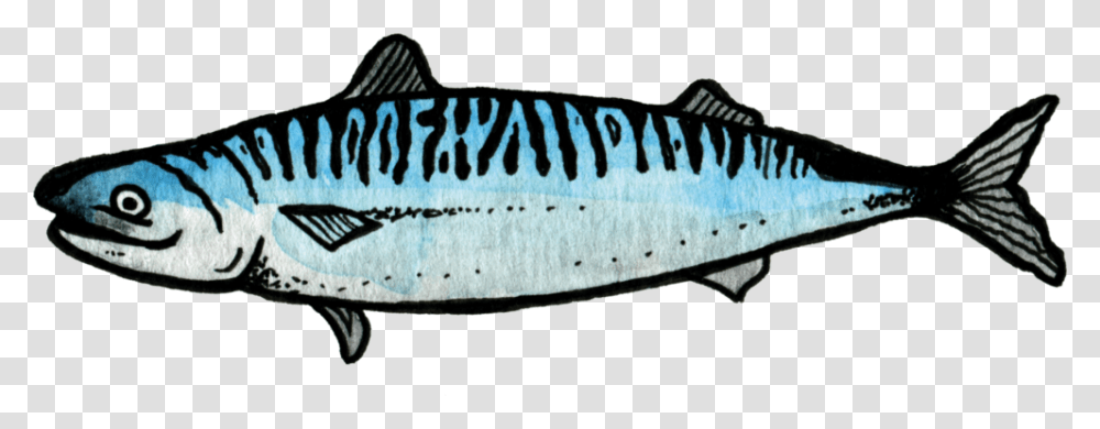 Salmon Mackerel, Fish, Animal, Label Transparent Png