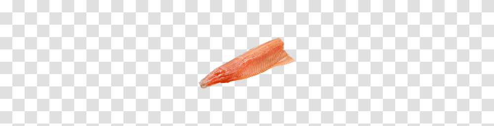 Salmon Zehrs, Brush, Tool, Animal, Comb Transparent Png