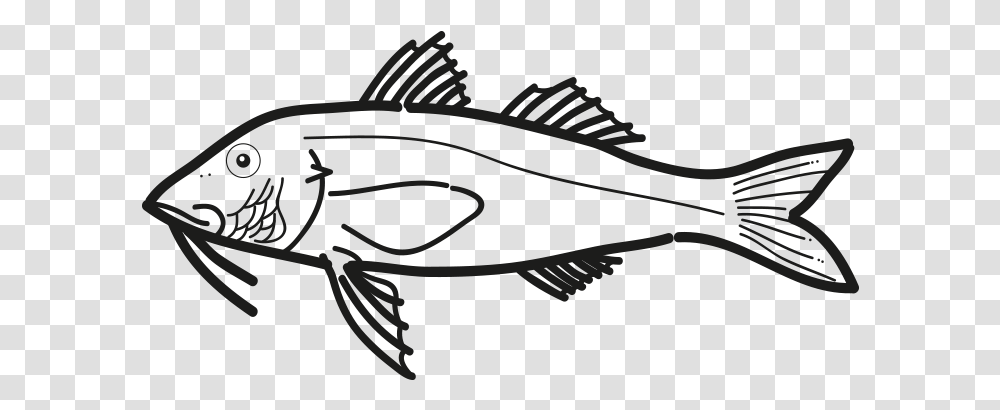 Salmonete Pseudupeneus Prayensis Frioantartic Ray Finned Fish, Animal, Perch, Cod Transparent Png