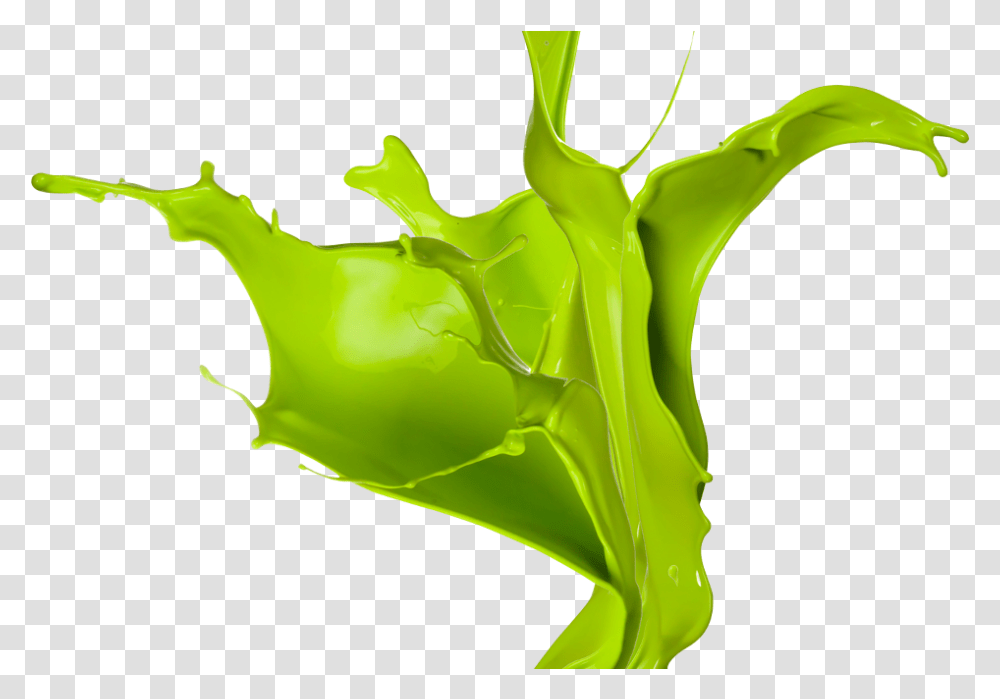 Salpicadura Pintura Verde, Green, Leaf, Plant, Seaweed Transparent Png