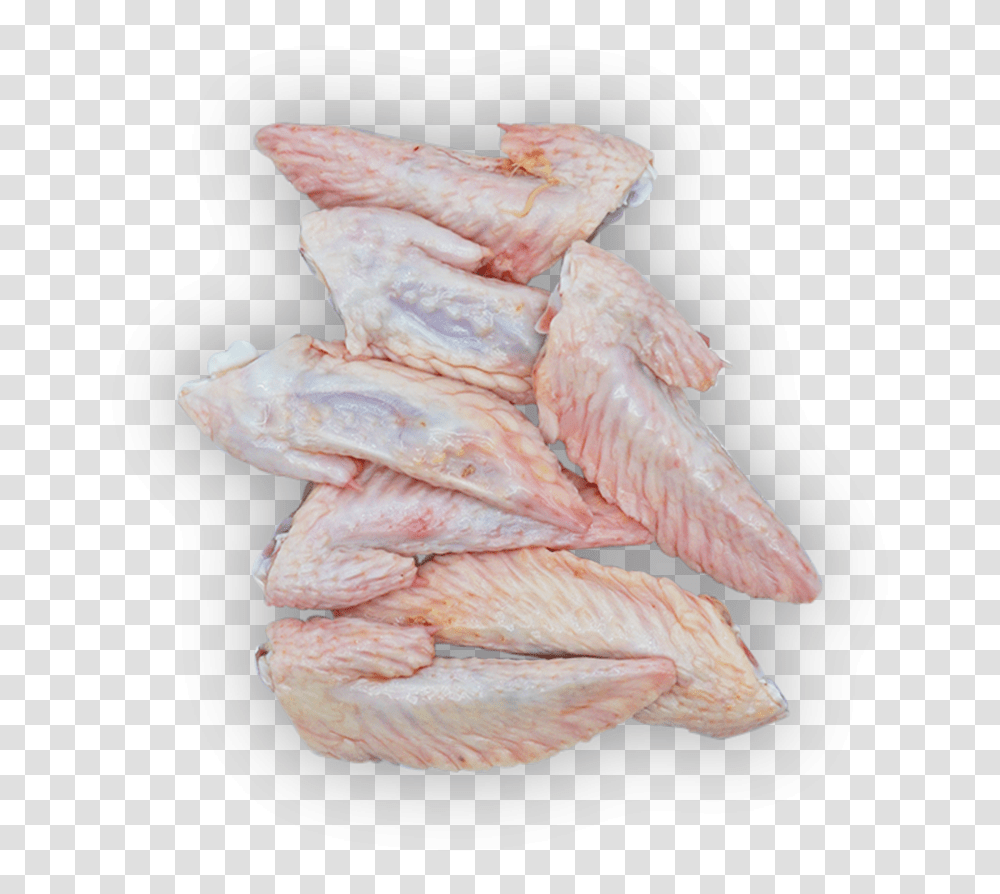 Salt Cured Meat, Animal, Fungus, Fish, Sea Life Transparent Png