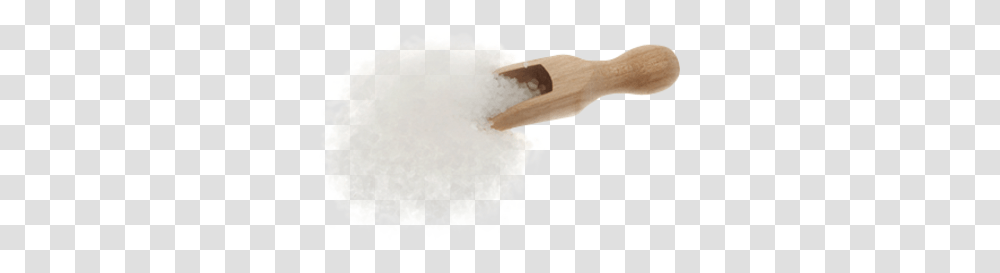 Salt, Food, Sugar, Fungus Transparent Png