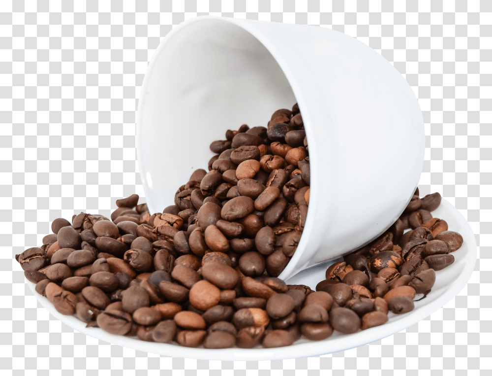 Salt Nic Coffee Flavors, Plant, Bean, Vegetable, Food Transparent Png