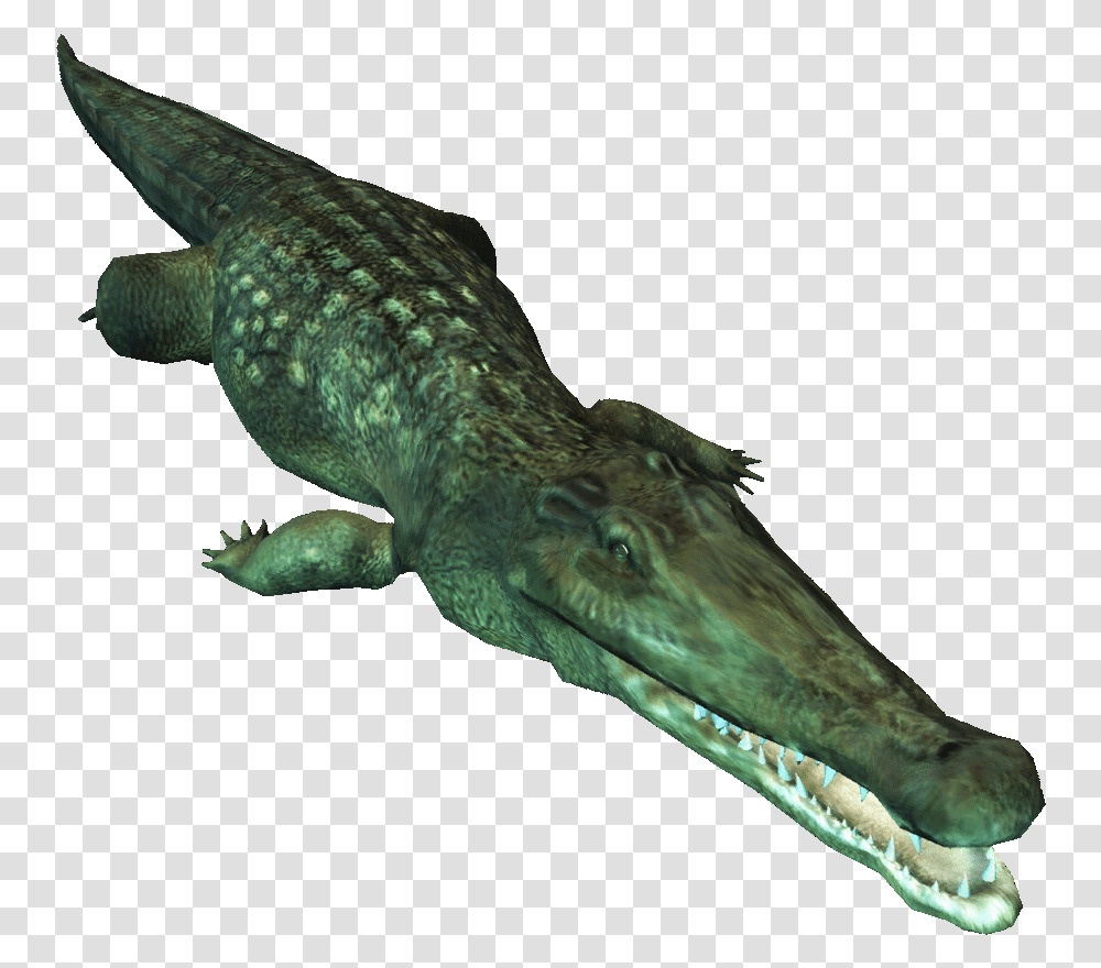 Saltwater Crocodile Image American Alligators Clipart, Lizard, Reptile, Animal, Aquatic Transparent Png