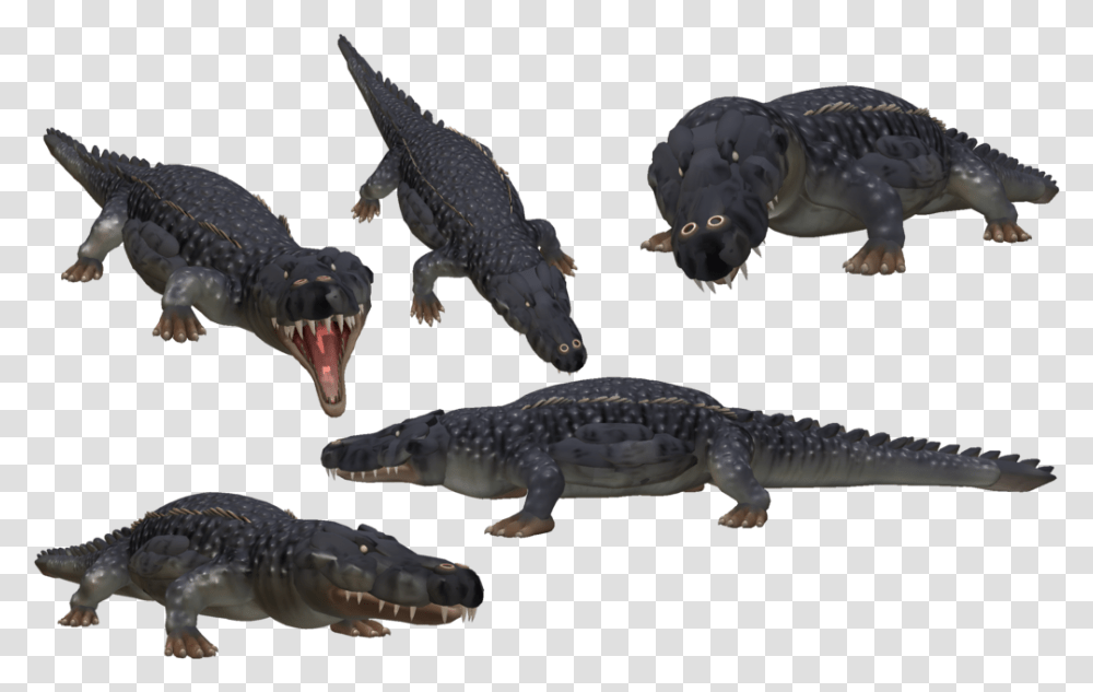 Saltwater Crocodile Photo Video Game Full Size Spore Crocodile, Lizard, Reptile, Animal, Alligator Transparent Png