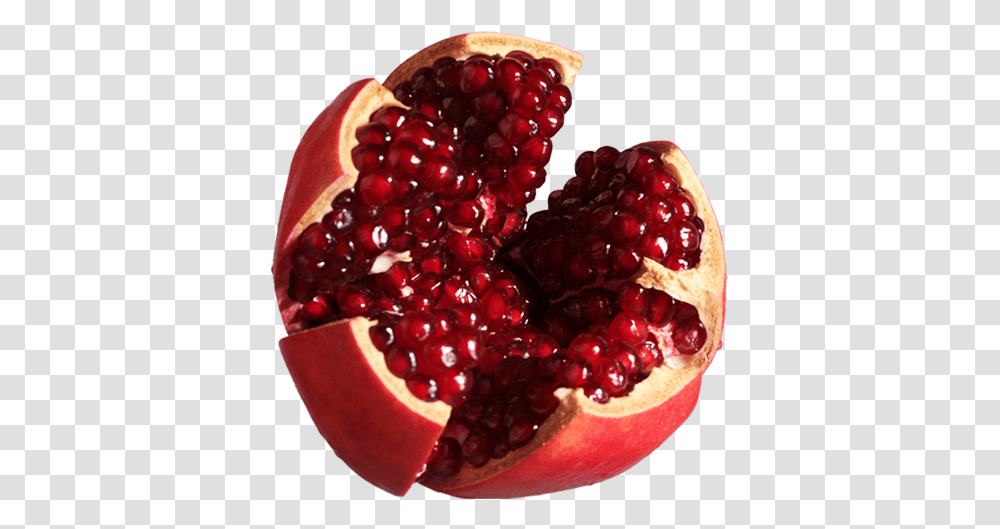 Samagri Pomegranate, Plant, Fruit, Food, Produce Transparent Png