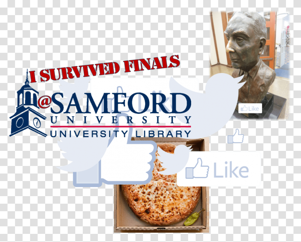 Samford University, Person, Human, Advertisement, Head Transparent Png