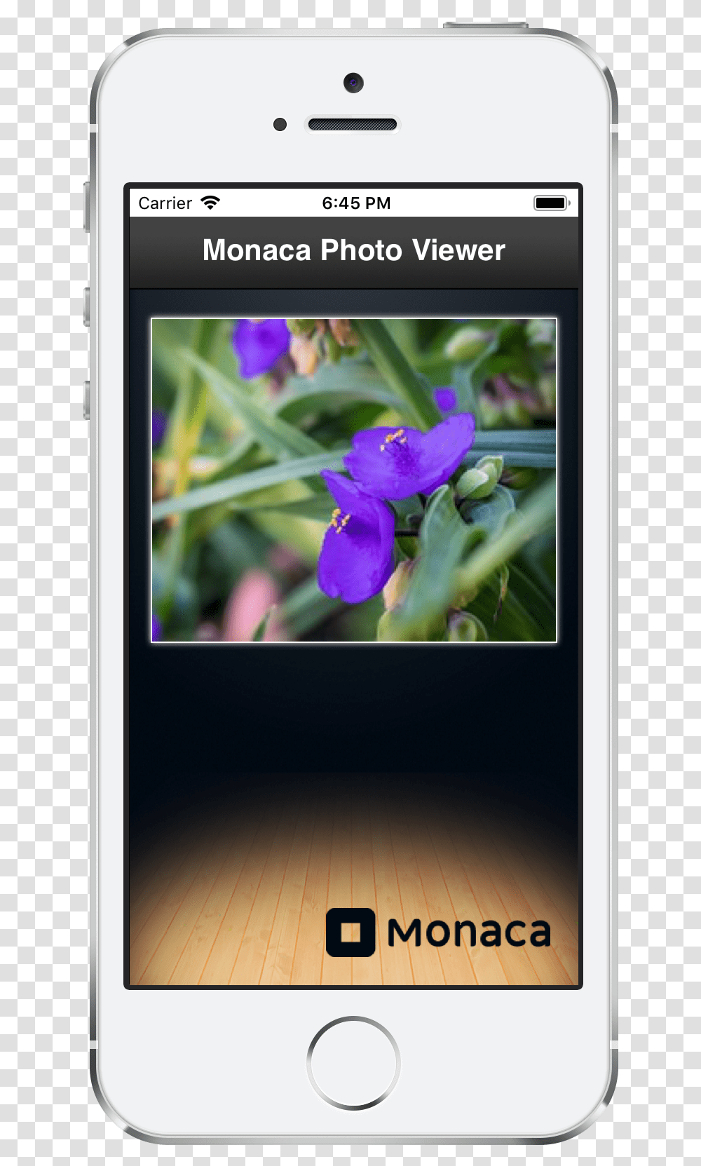 Sample Monaca Docs Iphone, Mobile Phone, Electronics, Cell Phone, Plant Transparent Png