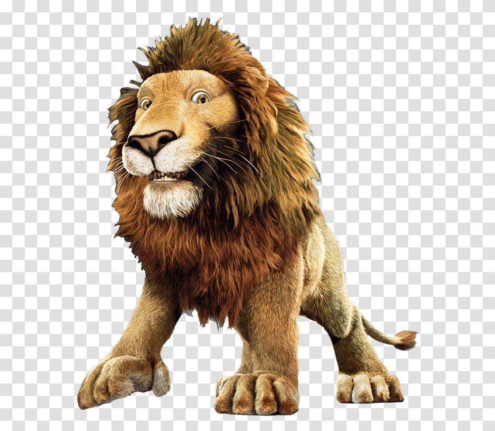 Samson The Lion The Wild, Wildlife, Mammal, Animal Transparent Png