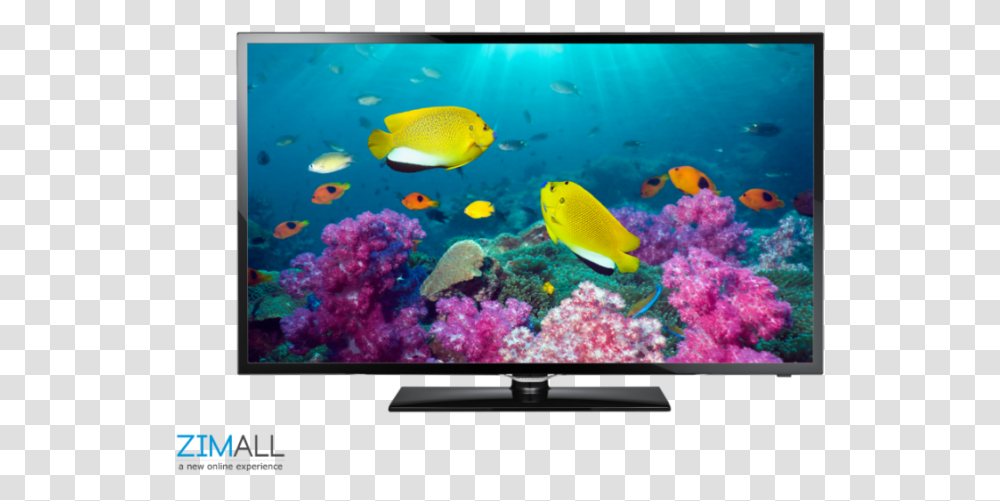 Samsung 40 Inch Series 5 Smart Full Hd Led Tv Samsung Ua40f5000ar, Monitor, Screen, Electronics, Display Transparent Png